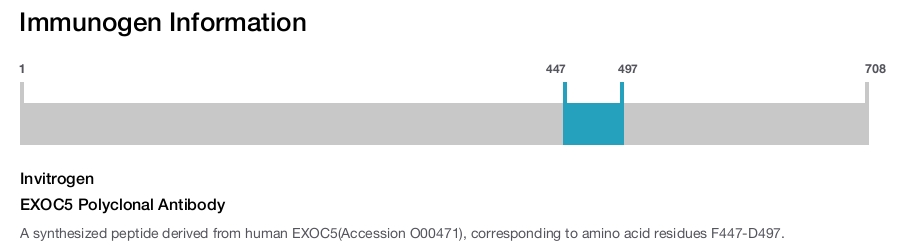 EXOC5 Polyclonal Antibody