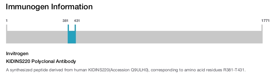 KIDINS220 Polyclonal Antibody