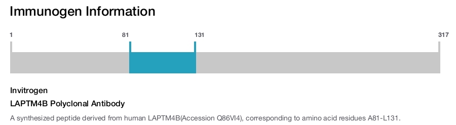 LAPTM4B Polyclonal Antibody