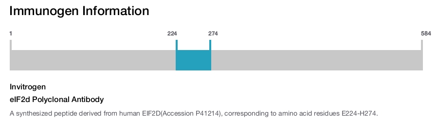 eIF2d Polyclonal Antibody