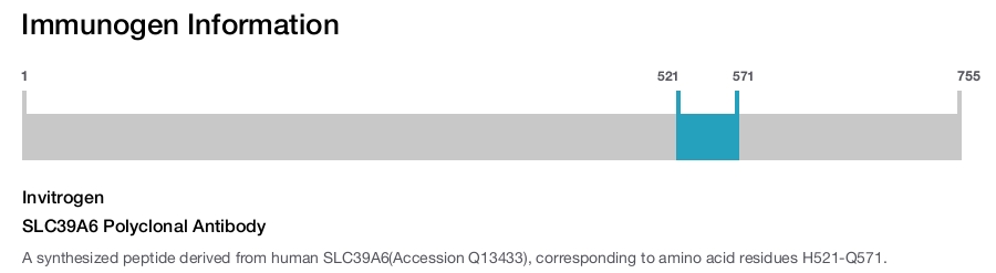 SLC39A6 Polyclonal Antibody