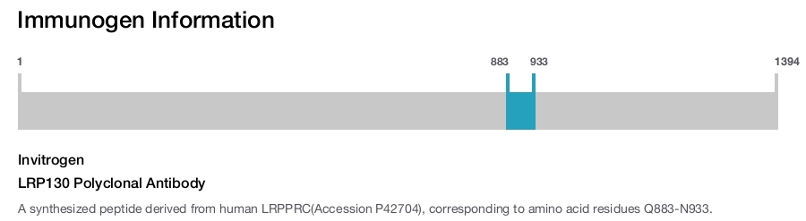 LRP130 Polyclonal Antibody