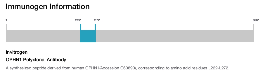 OPHN1 Polyclonal Antibody