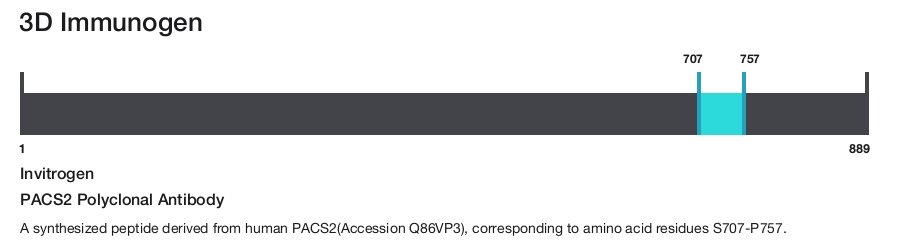 PACS2 Polyclonal Antibody