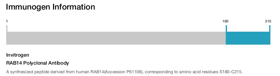 RAB14 Polyclonal Antibody