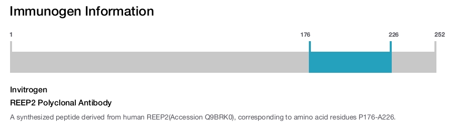 REEP2 Polyclonal Antibody