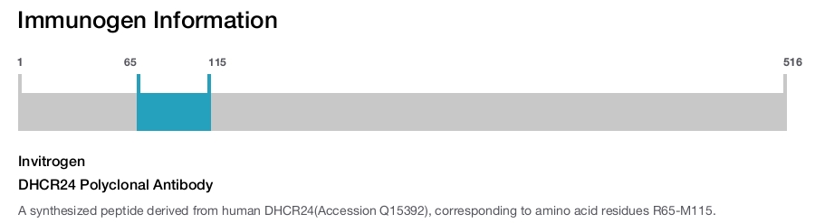 DHCR24 Polyclonal Antibody