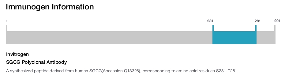 SGCG Polyclonal Antibody