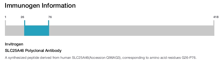 SLC25A46 Polyclonal Antibody