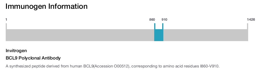 BCL9 Polyclonal Antibody