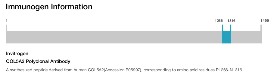 COL5A2 Polyclonal Antibody