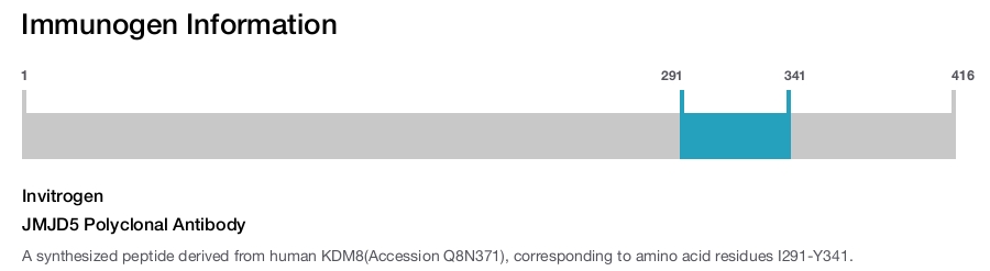 JMJD5 Polyclonal Antibody