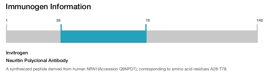 Neuritin Polyclonal Antibody