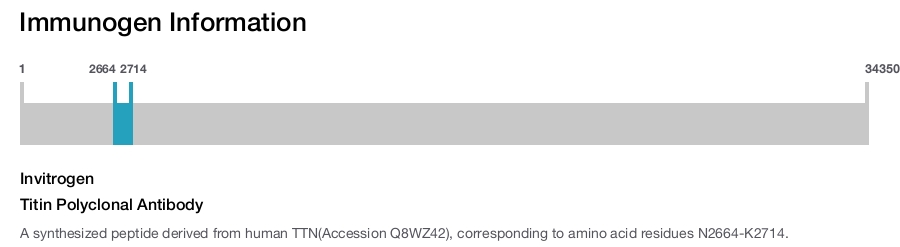 Titin Polyclonal Antibody
