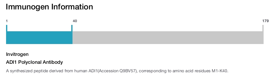 ADI1 Polyclonal Antibody