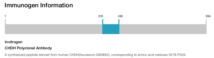 CHDH Polyclonal Antibody