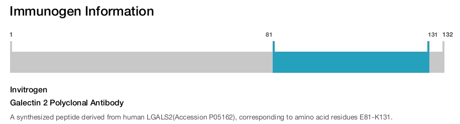 Galectin 2 Polyclonal Antibody