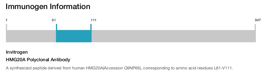 HMG20A Polyclonal Antibody