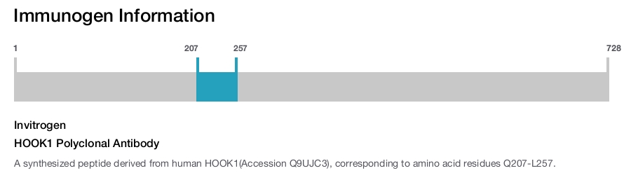 HOOK1 Polyclonal Antibody