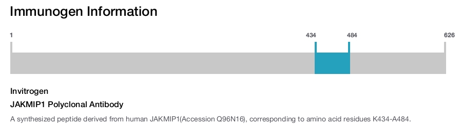 JAKMIP1 Polyclonal Antibody