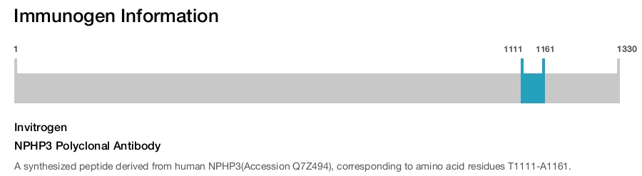 NPHP3 Polyclonal Antibody