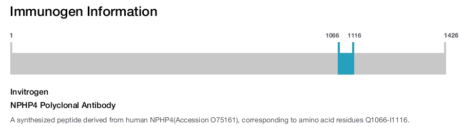 NPHP4 Polyclonal Antibody