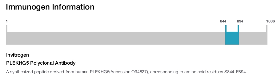 PLEKHG5 Polyclonal Antibody