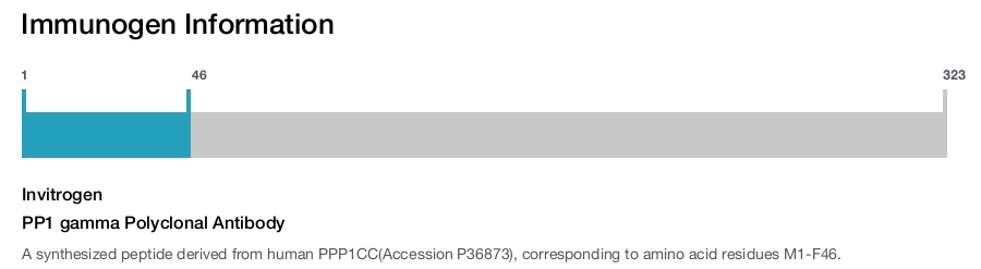 PP1 gamma Polyclonal Antibody