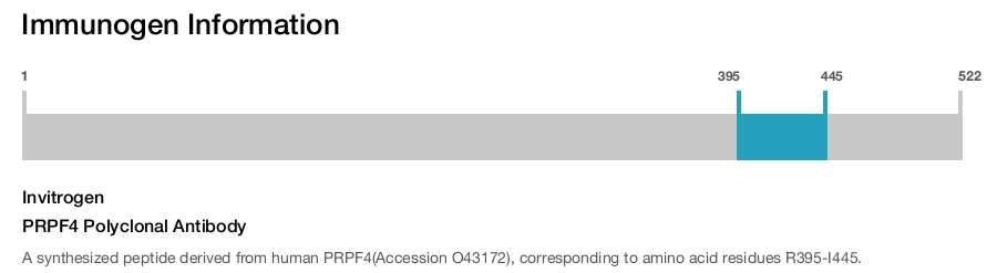 PRPF4 Polyclonal Antibody