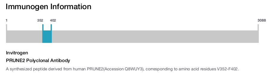 PRUNE2 Polyclonal Antibody