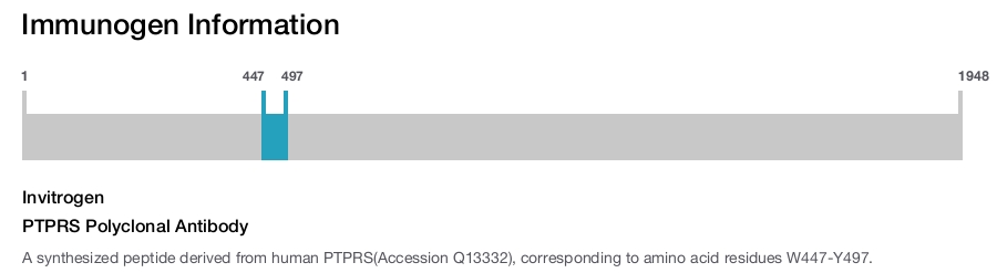 PTPRS Polyclonal Antibody
