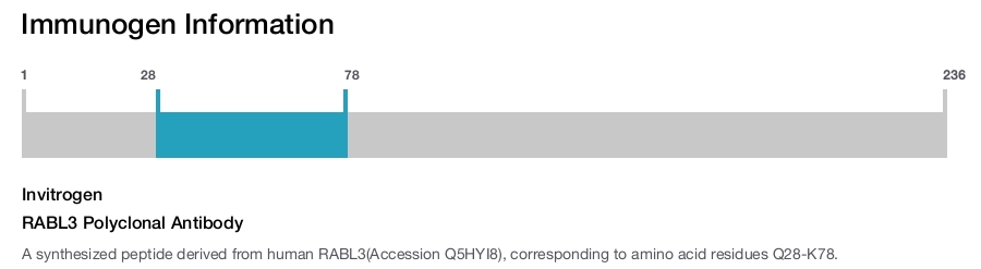 RABL3 Polyclonal Antibody