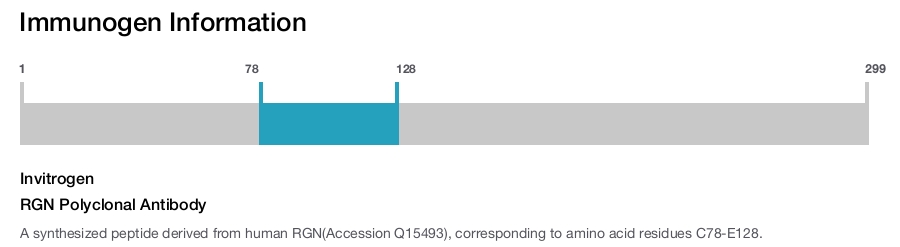 RGN Polyclonal Antibody