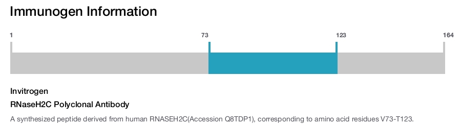 RNaseH2C Polyclonal Antibody