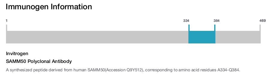 SAMM50 Polyclonal Antibody