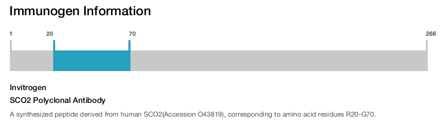 SCO2 Polyclonal Antibody