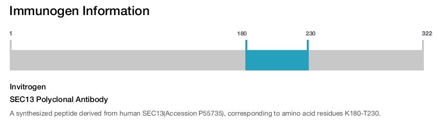 SEC13 Polyclonal Antibody