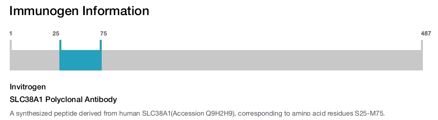 SLC38A1 Polyclonal Antibody