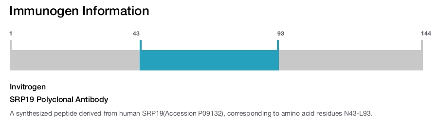 SRP19 Polyclonal Antibody