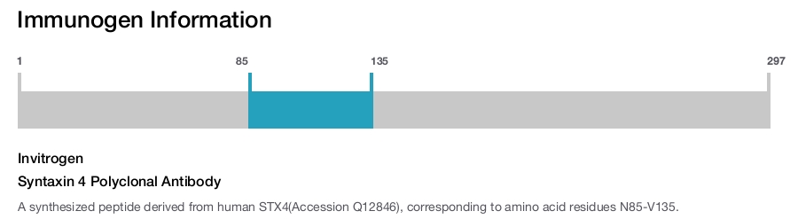 Syntaxin 4 Polyclonal Antibody