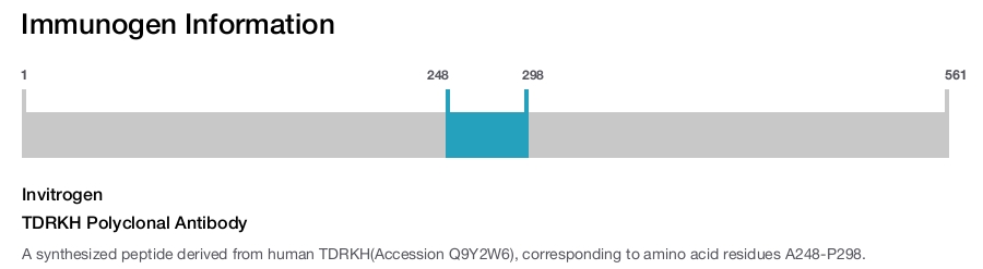TDRKH Polyclonal Antibody