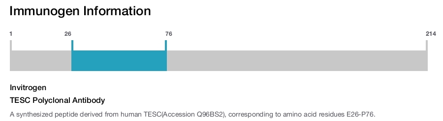TESC Polyclonal Antibody