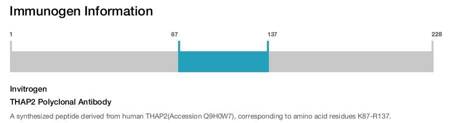 THAP2 Polyclonal Antibody
