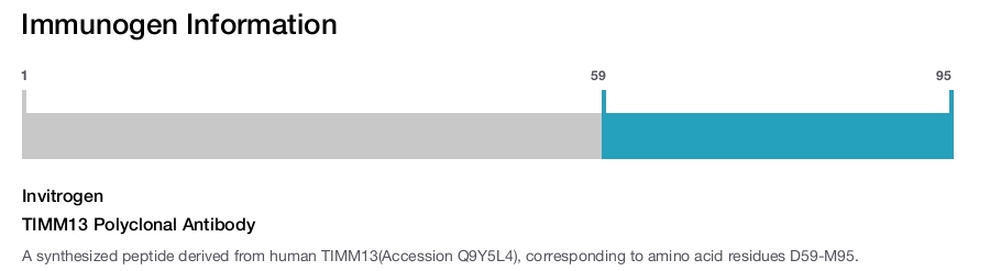 TIMM13 Polyclonal Antibody