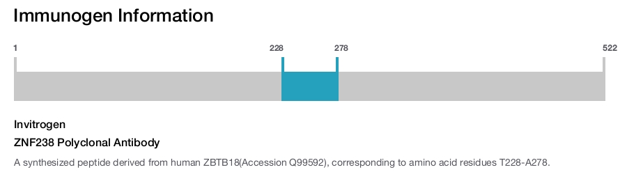 ZNF238 Polyclonal Antibody