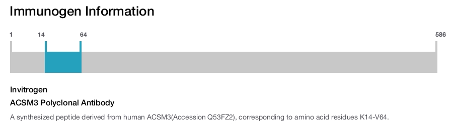 ACSM3 Polyclonal Antibody