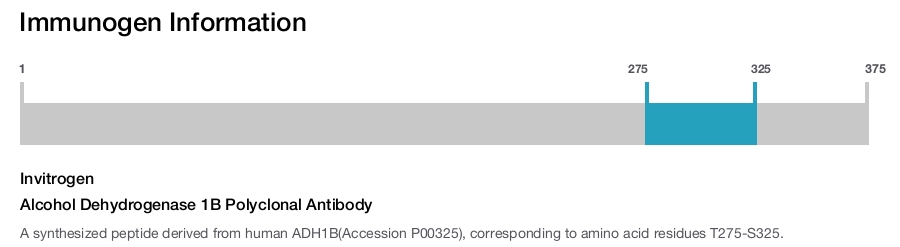 Alcohol Dehydrogenase 1B Polyclonal Antibody