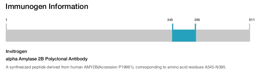 alpha Amylase 2B Polyclonal Antibody