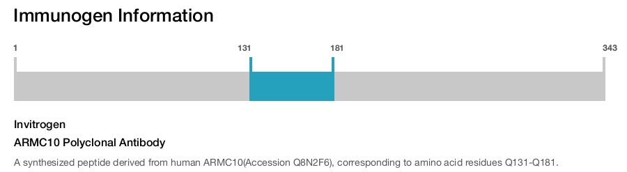 ARMC10 Polyclonal Antibody