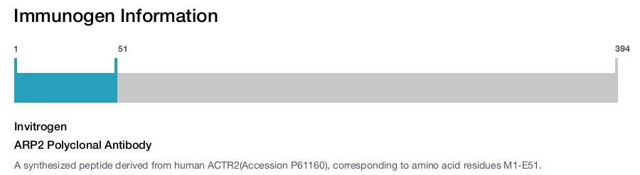 ARP2 Polyclonal Antibody